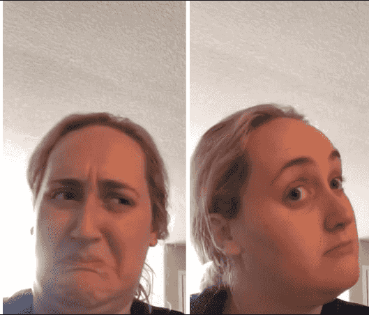 kombucha girl meme template