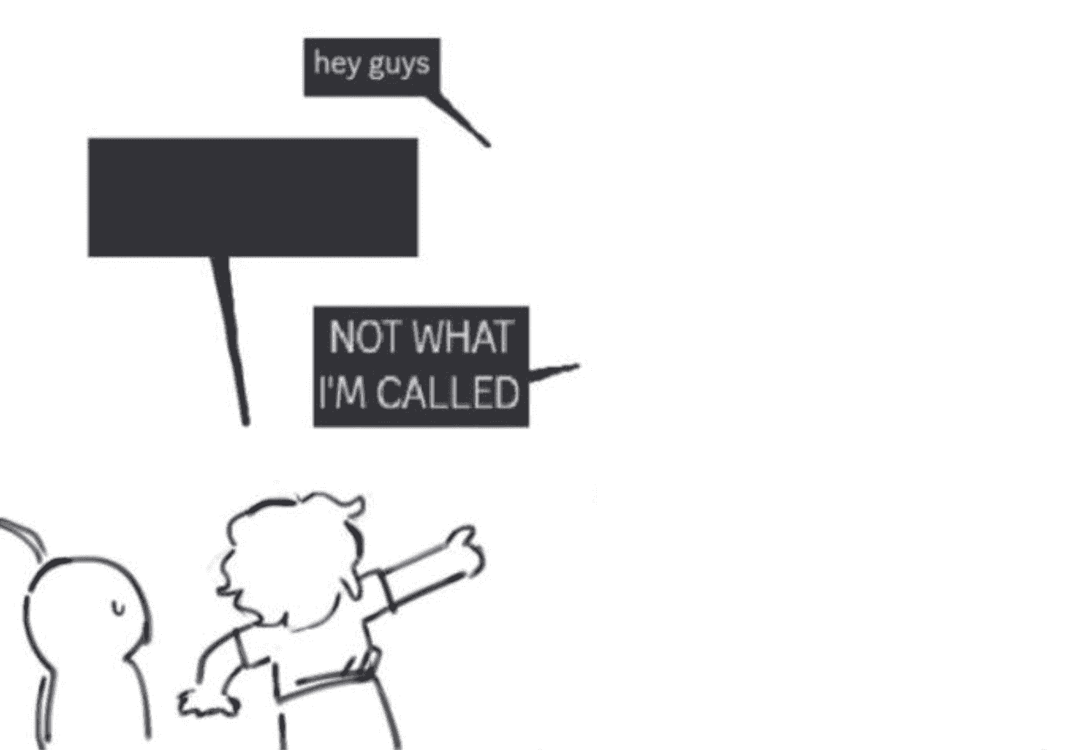 heyguysnotwhatimcalled meme template