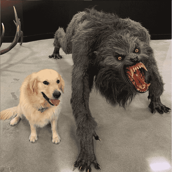 werewolf meme template