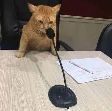 Cat-speaker